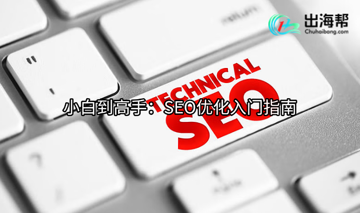 小白到高手：SEO优化入门指南